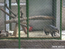 �������� �������