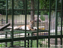 ������� �����