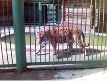 ���� - ������� ����� 2