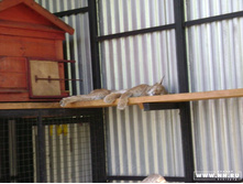 ������ ����� ��� �� ����