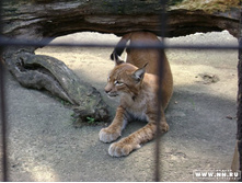 ������������� �����