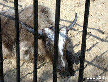 ���-�����