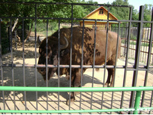 ���� ����� 2