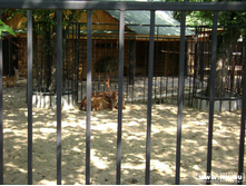 ��������� �����