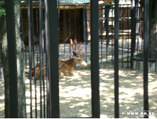 ��������� ����� 2