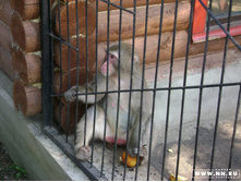 ������ ����