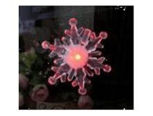 �������� 61+%