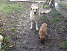 WLmjhTJiSqE - ����� (2).jpg