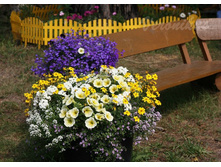 Confetti Garden Sunshine + ������� Clear Cristall White � ������ Blutopia (�� �����).jpg