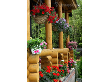 ����� ���....jpg