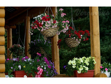 ����� ���.jpg