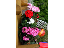 ���������� Nano.jpg