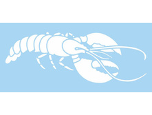 �������� Marabu 0276-00-029, �������, 15�33 ��.���� 2,89 ����.jpg