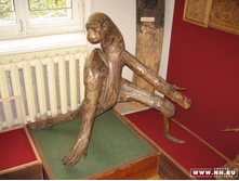 ��������� � �������