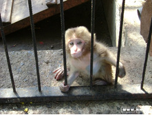 ����� ������