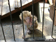 ����� ������ 2