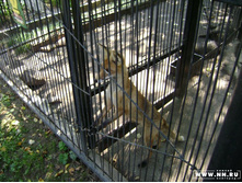 ������ 2