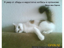 � ����.jpg