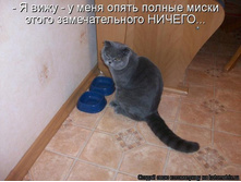 ������������� ������.jpg