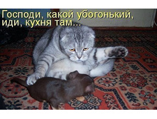 ����� ����������.jpg