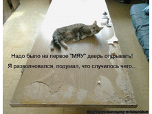 ���� �� ������ ��� ����� ���������.jpg