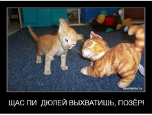 ��� ����� ���������.jpg