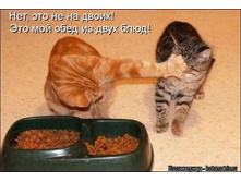 ��� ��� ����.jpg