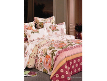 54 (����������).jpg