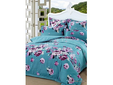 51 (����������).jpg