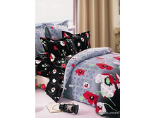 49 (����������).jpg