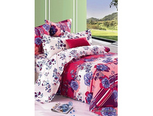 46 (����������).jpg