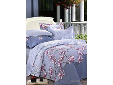 41 (����������).jpg