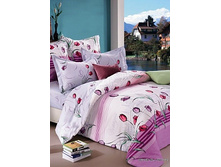 40 (����������).jpg