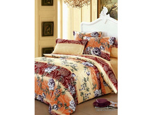 39 (����������).jpg