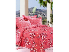 36 (����������).jpg