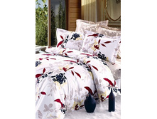 31 (����������).jpg