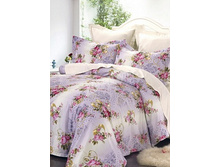 29 (����������).jpg