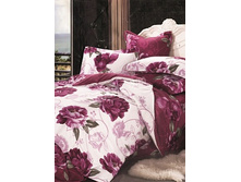 28 (����������).jpg