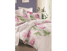 26 (����������).jpg