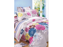 23 (����������).jpg