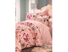 17 (����������).jpg