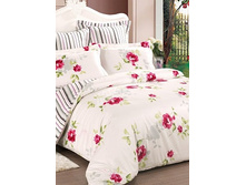 15 (����������).jpg