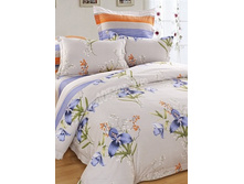 14 (����������).jpg