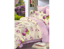 5 (����������).jpg