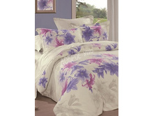 4 (����������).jpg