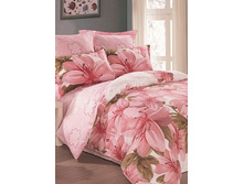 1 (����������).jpg