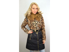 13031 - 4900 ���