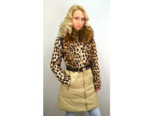 13031 ��� -4900 ���