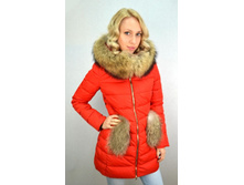 130116 �������.jpg