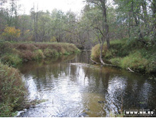 ��� � �����